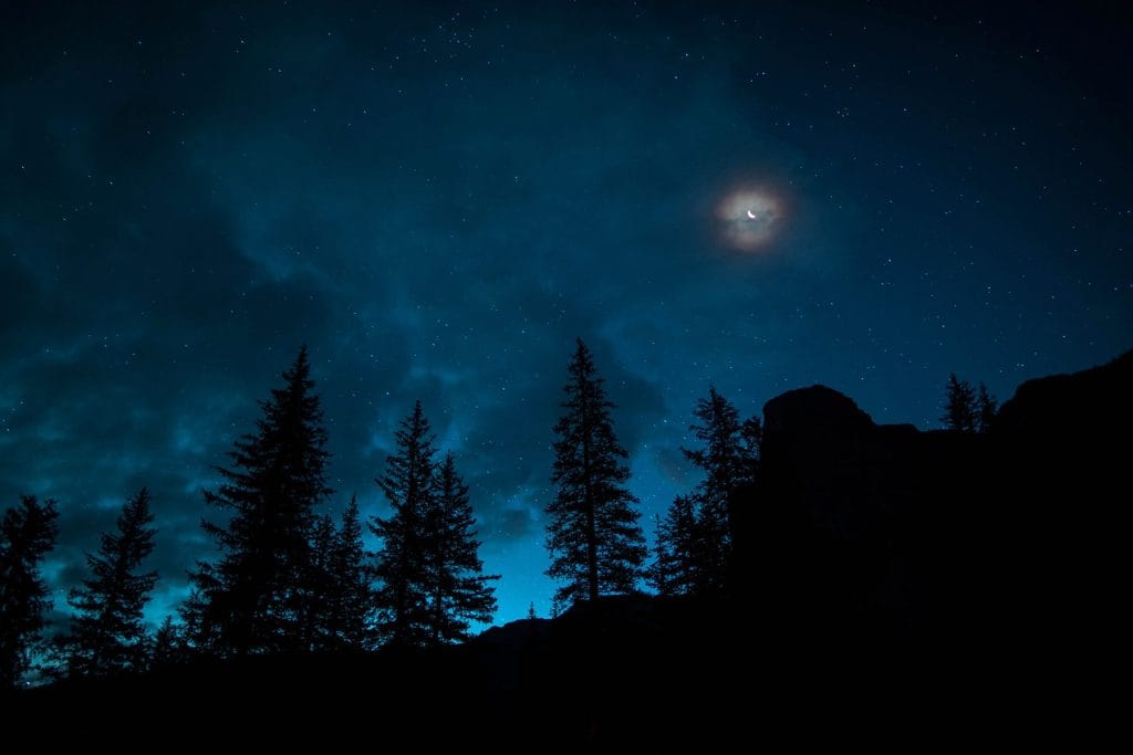 roberto-nickson-DauE-Q425nU-unsplash